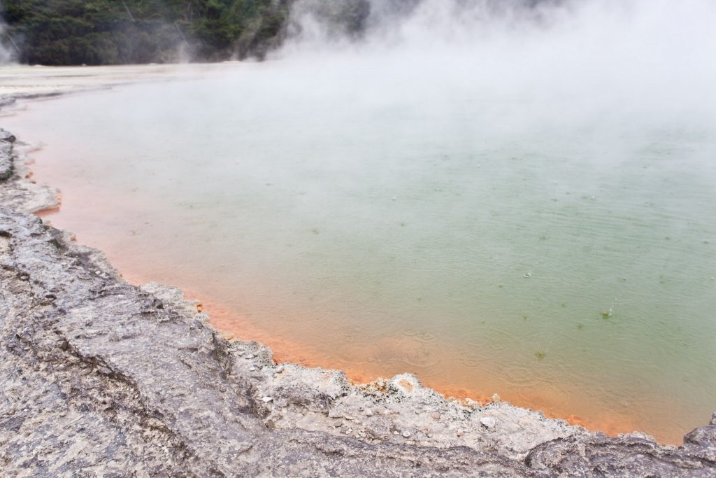 newzealand_travel_blog_pritis_passport-15