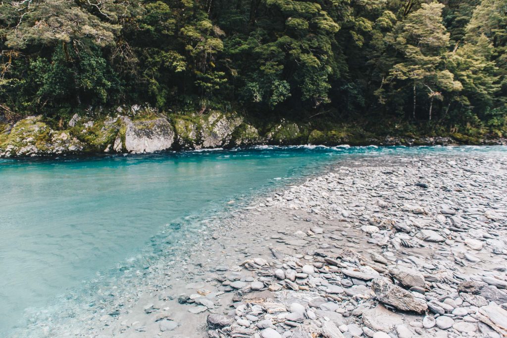 newzealand_travel_blog_pritis_passport-50