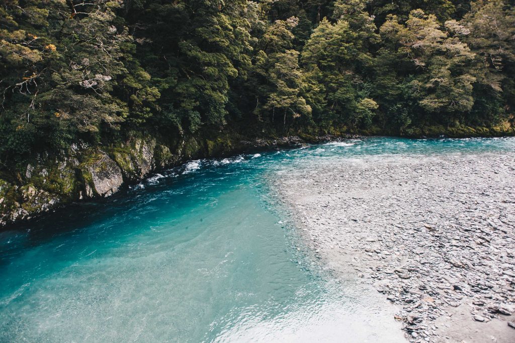 newzealand_travel_blog_pritis_passport-52