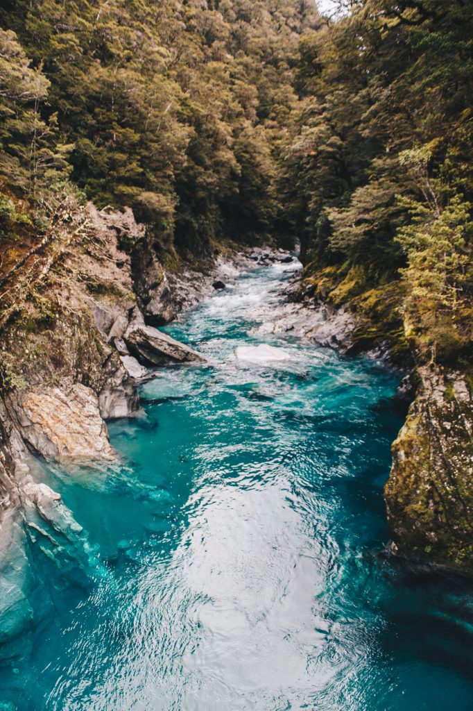 newzealand_travel_blog_pritis_passport-53