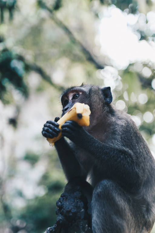 Phang Nga Bay Koh Panyi Thailand Travel Blog