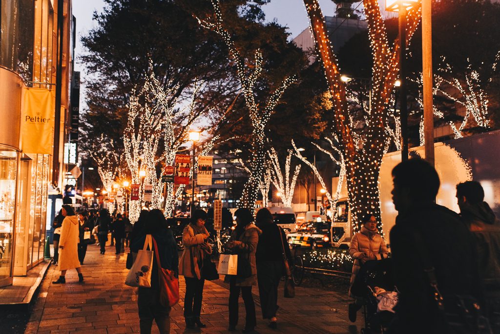 Tokyo Travel Blog Pritis Passport