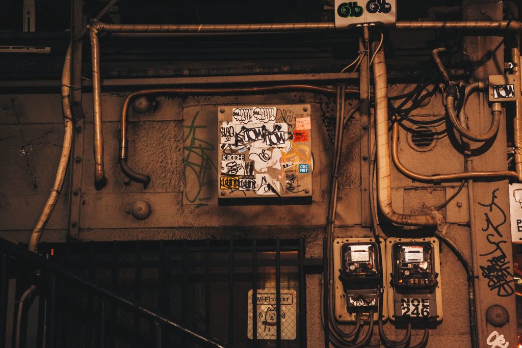 Tokyo Travel Blog Pritis Passport
