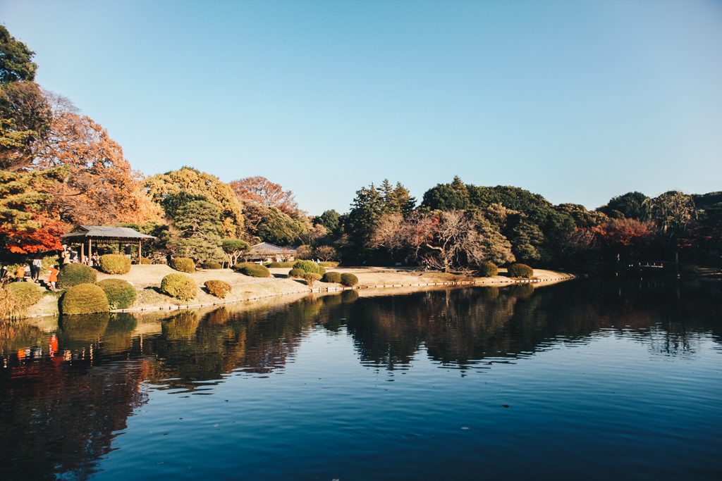 YoYogi Park Meiji Shrine Tokyo Travel Blog