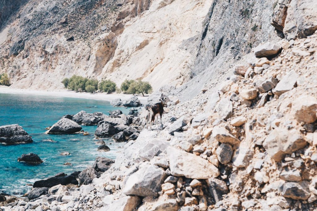 Glyka Nera Beach Sweet Water Beach Crete Greece