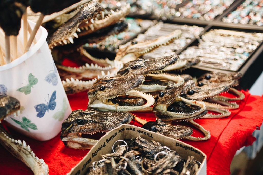 New Orleans Travel Photography