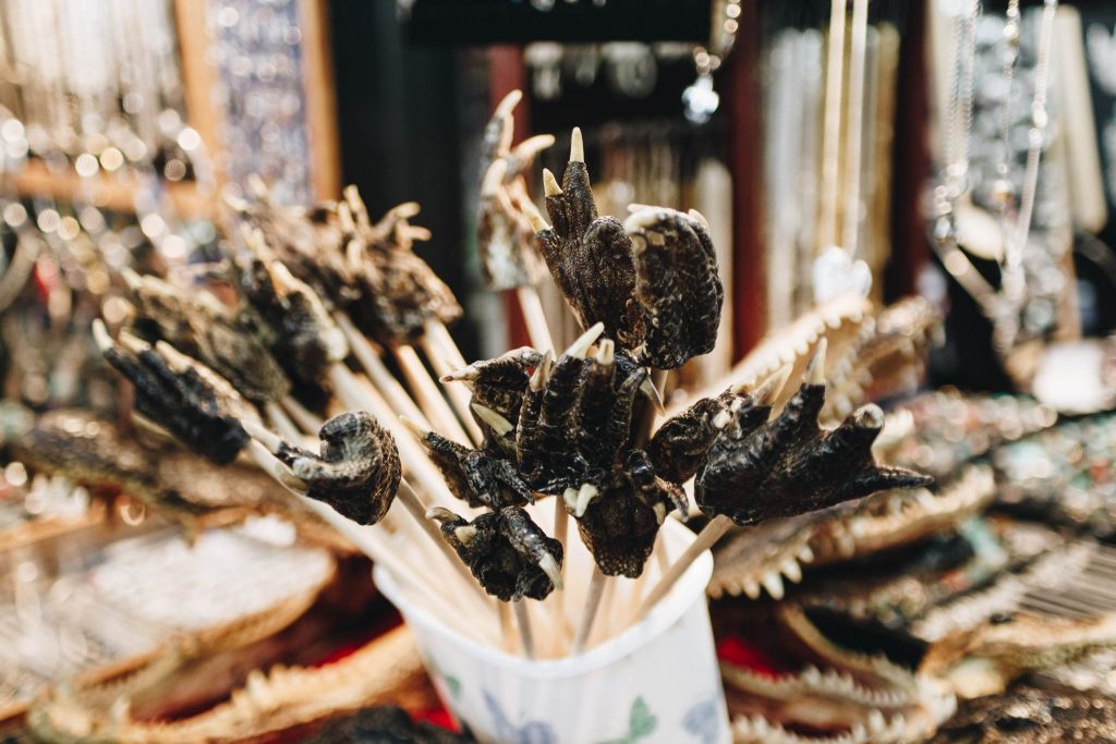 New Orleans Travel Photography