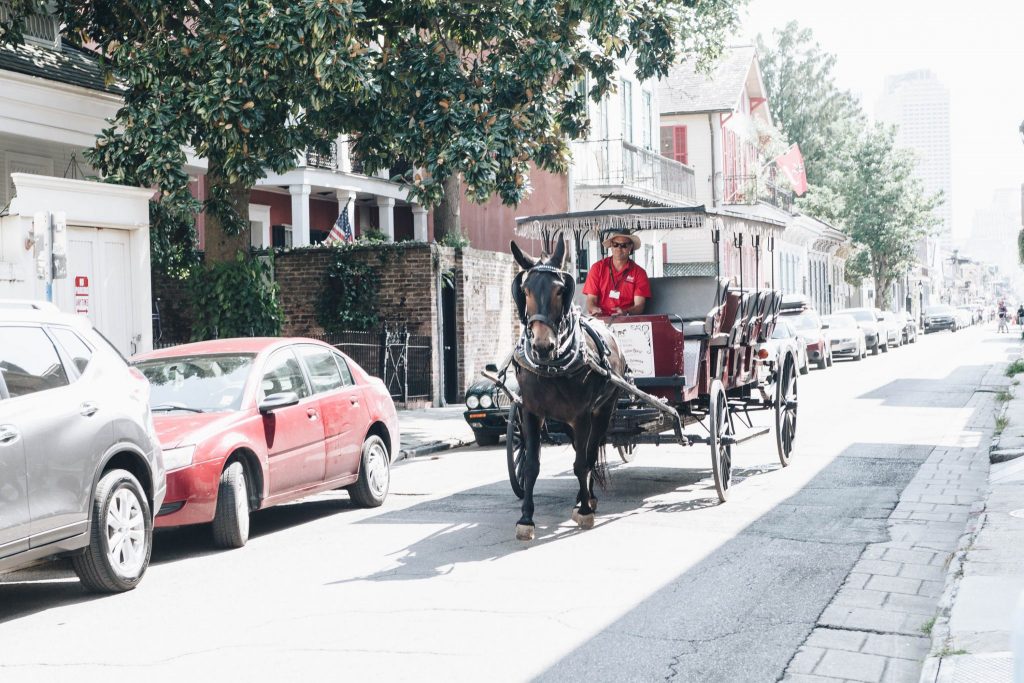 New Orleans Travel Photography