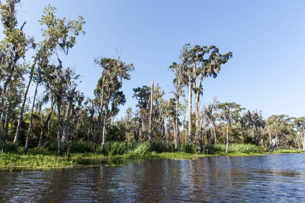 New Orleans Travel Photography