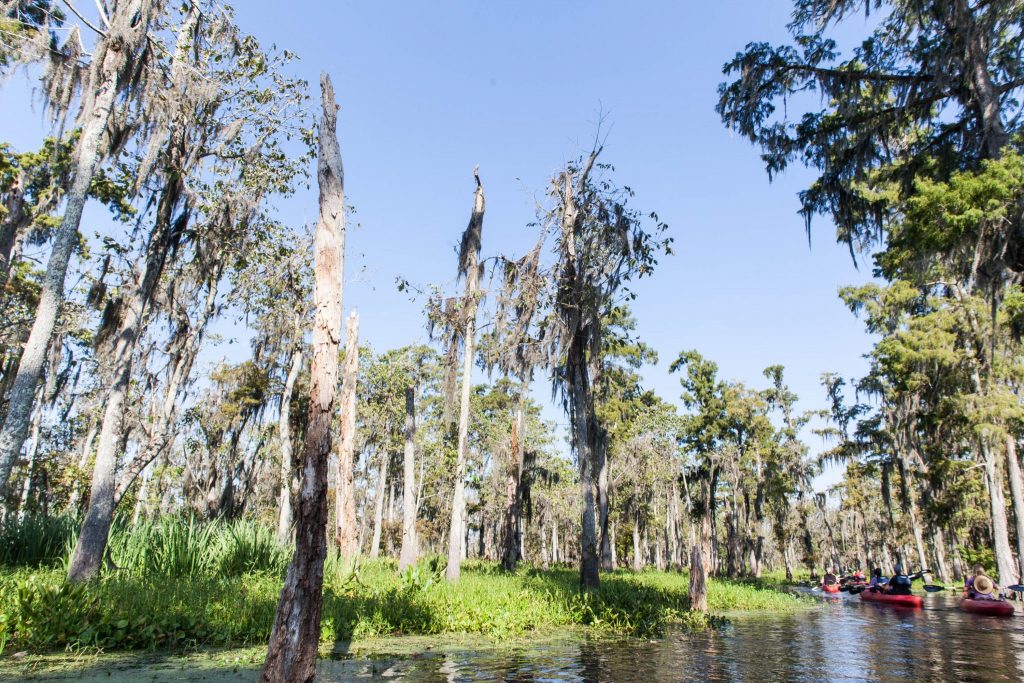 New Orleans Travel Photography