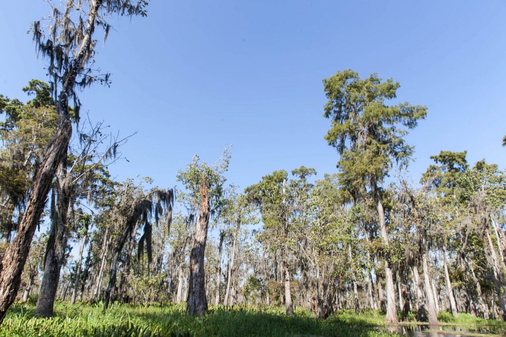 New Orleans Travel Photography