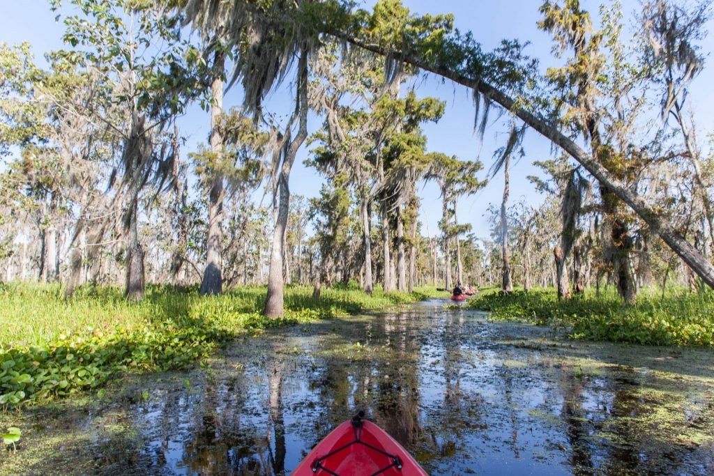 New Orleans Travel Photography