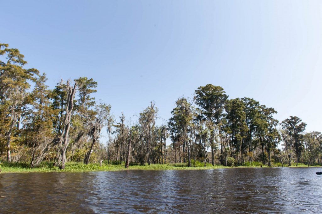 New Orleans Travel Photography