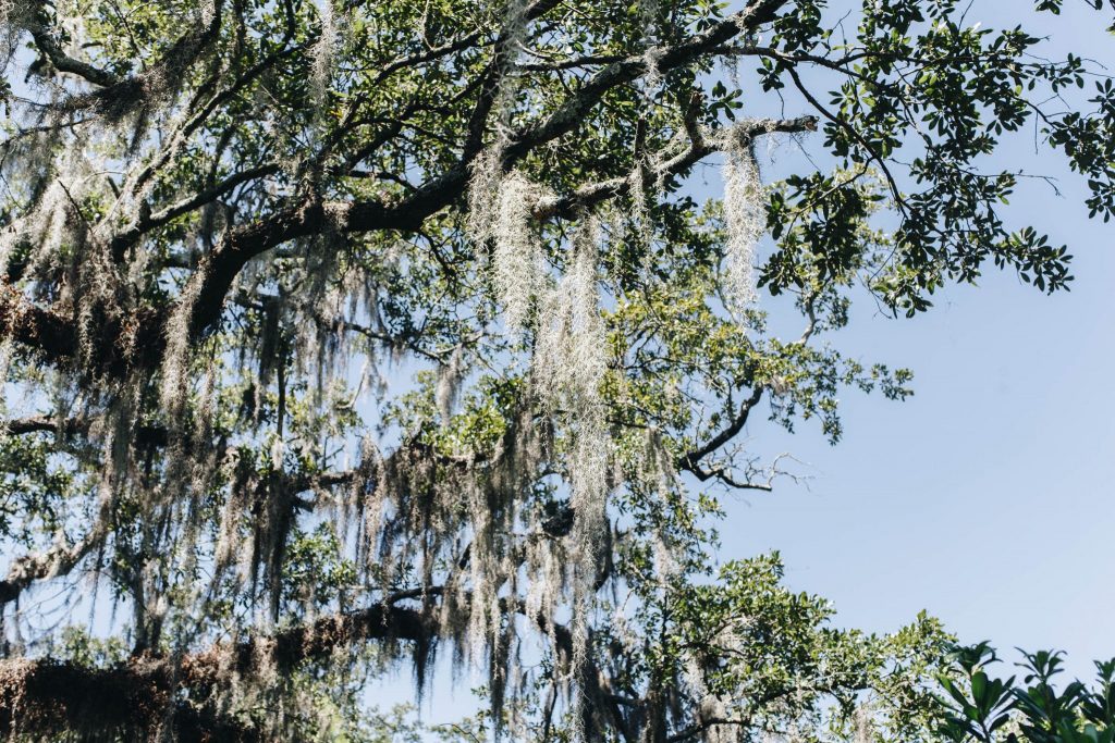 New Orleans Travel Photography