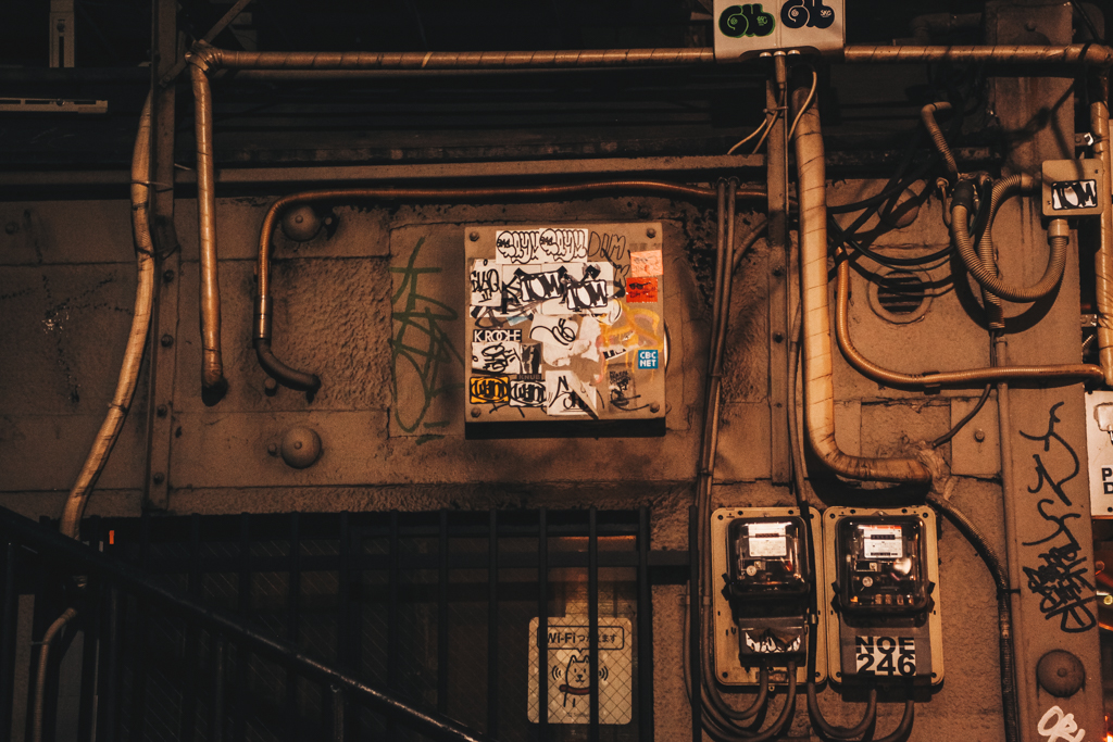 Tokyo Travel Blog Pritis Passport