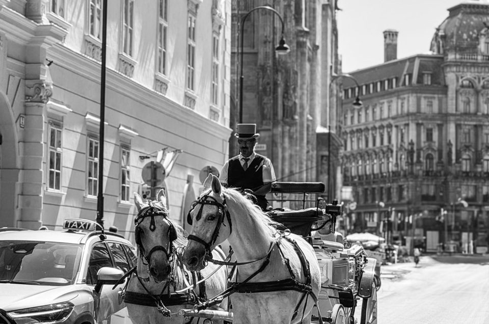 Capturing Vienna: A Photographer’s Summer Study in Light and Architecture